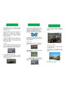 Las comunidades rurales y las urbanas están muy relacionadas y se necesitan unas a otras para intercambiar productos y servicios.