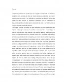 Ensayo de las normas juridicas