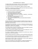 Mi experiencia de trabajo