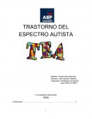 TRASTORNO DEL ESPECTRO AUTISTA