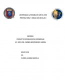 SAN NICOLÁS DE LOS GARZA A 13 DE NOVIEMBRE DEL 2015. Punto de vista de personaje