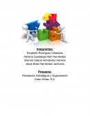 ¿Cuál fue a través del tiempo la estructura Organizacional de vintas?