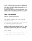 Representa a la vida como un triángulo dónde pone a la minoría en la punta, que es más aguda y conforme se mueve este puede apuntar hacia arriba o ir en picada.