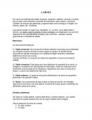 CARNES. Estructura