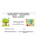 PROYECTO DE GRUPO P R E S E N T A C I Ó N