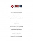 Desarrollo de un plan de negocio.