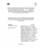 PROYECTO SOCIO COMUNITARIO IV