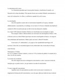 La importancia de la razon