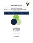 Internet LICENCIATURA EN CIENCIAS POLICIALES Y SEGURIDAD CIUDADANA