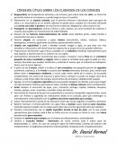 Cuidados de un conejo