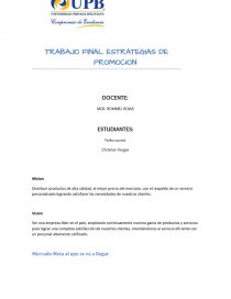 TRABAJO FINAL ESTRATEGIAS DE PROMOCION. Página 1