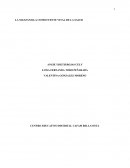 Efectos de la manzanilla en la salud del cuerpo humano