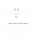 ESTRUCTURA DEL MERCADO DE COLOMBIA