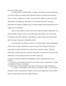 ¿Qué son las células madre?