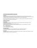 ESTRATEGIA GLOBAL MAÑANITA MEXICANA