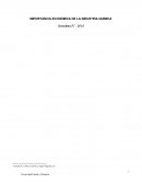 Importancia económica de industria química