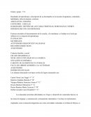 Resultados de aprendizaje y descripción de su desempeño en la escuela (Asignaturas, contenidos, habilidades, falta de dominio, etcétera)