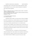 Apelación en contra el otorgamiento de guarda y custodia de menor