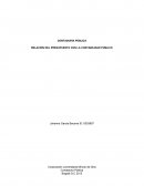 RELACIÓN DEL PRESUPUESTO CON LA CONTABILIDAD PÚBLICA