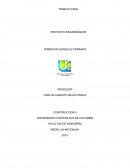 TRABAJO FINAL - PROYECTO DESARENADOR