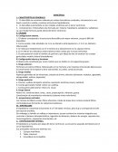 Ensayo MORFOLOGÍA DEL SISTEMA NERVIOSO CENTRAL