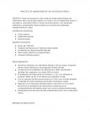 PRACTICA DE LABORATORIO DE 1RA VELOCIDAD CRITICA