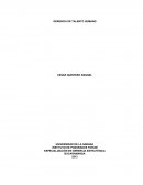 EXIGENCIAS EN LA CULTURA ORGANIZACIONAL