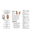 Diversificacion productiva