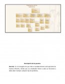 Descripcion de puestos.Gerente: Es el encargado de que todo el establecimiento esté operando de manera eficiente