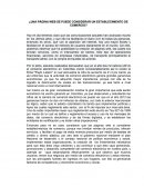 ¿Una página web se puede considerar un establecimiento de comercio?