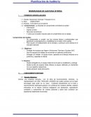 MEMORANDUM DE AUDITORIA INTERNA