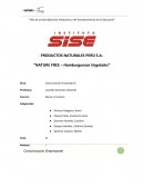 Trabajo de comunicación empresarial: "NATURE FREE – Hamburguesas Vegetales"