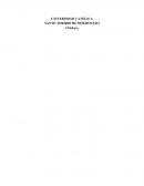 Muellecentro Jaramillo S.R.L. pretende optimizar las utilidades mediante un modelo matemático