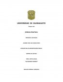 TEMA: CAPITAL SOCIAL “ALESSANDRO PIZZORNO”