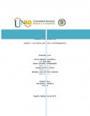 TRABAJO COLABORATIVO UNIDAD 1. VECTORES, MATRICES Y DETERMINANTE