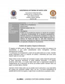 Análisis De La Arquitectura