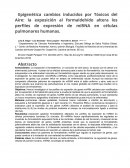 Epigenética cambios inducidos por Tóxicos del Aire