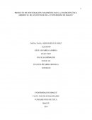 PROYECTO DE INVESTIGACIÓN “DIAGNÓSTICO DE LA CONDICIÓN ÉTICA AMBIENTAL DE LOS JÓVENES DE LA UNIVERSIDAD DE IBAGUÉ”