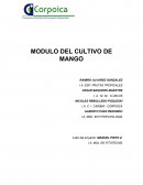 CARACTERÍSTICAS GENERALES DEL CULTIVO DE MANGO