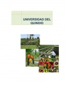 ESTUDIO DE FACTIBILIDAD PARA LA CREACIÓN DE UNA GRANJA AUTOSUFICIENTE “GRAN MARRUECOS” PRODUCTORA Y COMERCIALIZADORA DE PRODUCTOS ORGÁNICOS EN EL MUNICIPIO DE BELÉN DE UMBRÍA,RISARALDA