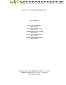 El sonometro - Mediciones Ambientales del Ruido