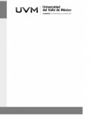 Las principales características del siglo XVII y el desarrollo intelectual