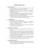 PROTEINAS ERK – JNK.