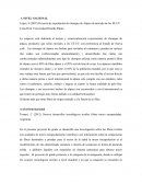 Proyecto de exportación de chompas de Alpaca al mercado de los EE.UU.