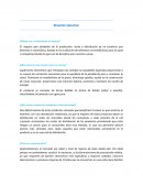 Ejemplo de el Proyecto final mercadeo estrategico