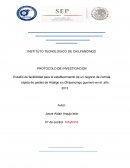 PLAN DE NEGOCIOS DE PASTES DE HIDALGO