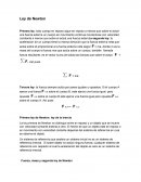 NUEVO DESCUBRIMIENTO