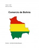 Dar a conocer el intercambio, relación comercial y actividad económica en Bolivia