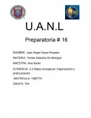 Mapa conceptual: Organización y jerarquización