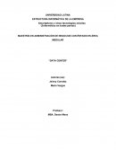 ESTRUCTURA INFORMÁTICA DE LA EMPRESA